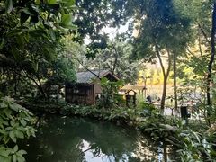 -成都市活水公园