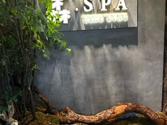 -森SPA·泰式按摩·精油Massage(宝安中心店)