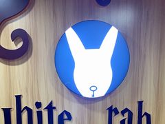 -白兔子密室(长寿路店)