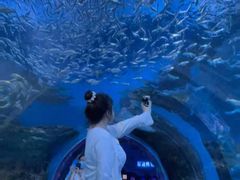 -海合安成都极地海洋公园