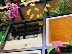 -台北楚楚园馅饼粥(虹桥南丰城店)