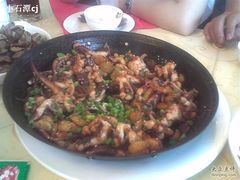 铁盘鱿鱼-海岛渔村大酒店(云霄路店)