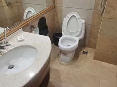 -长沙小天鹅戴斯酒店