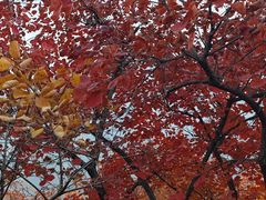 -幕燕滨江·燕子矶公园