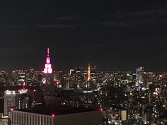 -东京都厅舍