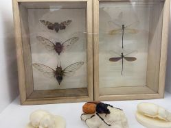 -酷嗒动物文化乐园(cutezoo西溪乐天城店)