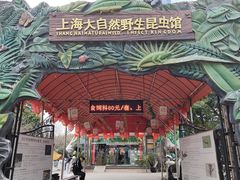 -上海大自然野生昆虫馆(东方明珠·爬宠昆虫探索中心)
