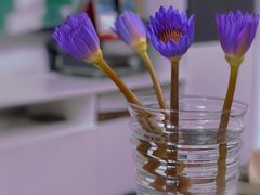 -盒马鲜生(首义店)