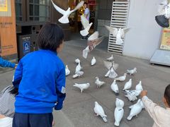 -中粮·祥云小镇