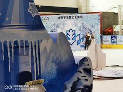 -正佳冰河湾真冰滑冰场