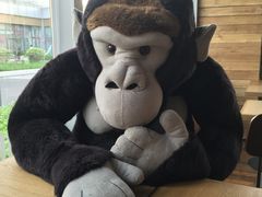 -ZOO COFFEE 动物园咖啡(亦庄店)