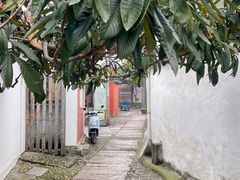 -丝绸小镇荻港古村