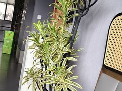 -七采菌园·野生菌石锅鱼(环城北路店)