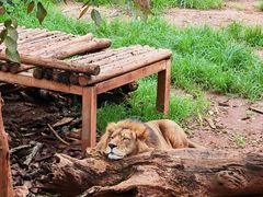 -昆明动物园