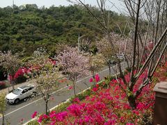 -小南山公园