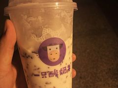 -一只酸奶牛(时代天街A馆店)