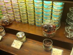 -布兰兔的植物庄园(杭州南宋御街店)