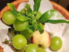 -季季山·云南野生菌火锅(上海首店)