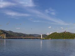 -酒仙湖景区