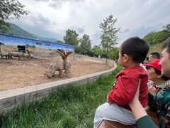 -西安秦岭野生动物园