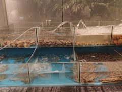 -厦门艾美酒店·新食谱西餐厅