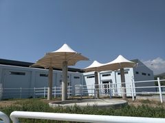 -大青山野生动物园