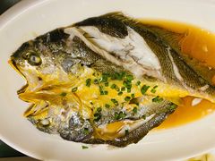 黄花鱼-华盛丰温州大排档(东三环南路店)