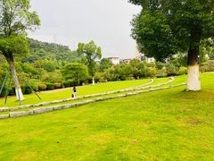 -桃花岭景区