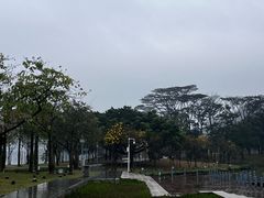 -顺峰山公园