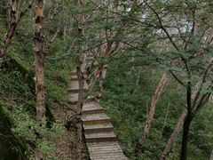 -白草畔自然风景区