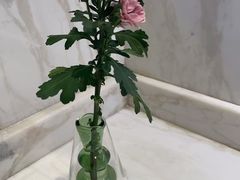 -粤珍轩.创始店.始于2001(含光门店)