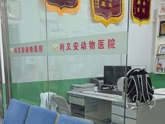 -利又安动物医院··老年病·猫科犬科·中兽医