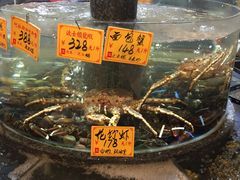 -东方印象大酒楼(拱北店)