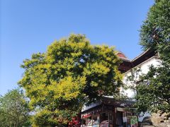 -香山公园