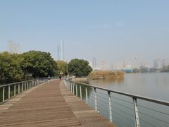 -月湖风景区
