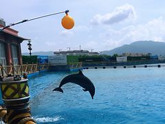 -三亚海昌梦幻海洋不夜城