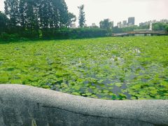 -黄兴公园