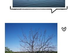 -北海公园