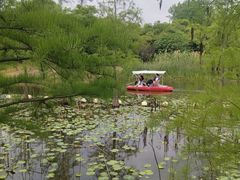 -同里国家湿地公园