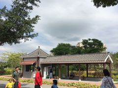 -风云岭森林公园