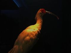 -大连自然博物馆·地球展厅