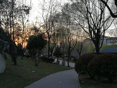 -唐城墙遗址公园