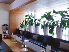 -谷悦SPA(王府井店)