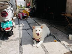 -Max Bakery 阿唛手作