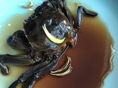 -蟹榭·本帮江浙菜·蟹宴(五角场合生汇商场店)