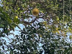 -上海蔡元培故居陈列馆