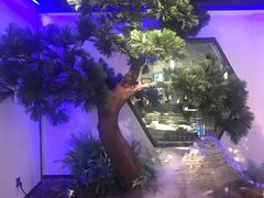 -绿茶餐厅(成都大悦城店)