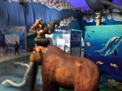 -烟台海昌鲸鲨海洋公园