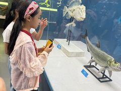 -国家自然博物馆