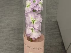 -陆家嘴世纪金融广场